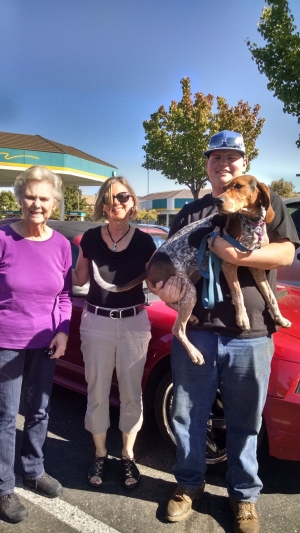 Safe Bluetick Coonhound in Arnold, CA