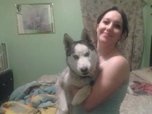 Safe Siberian Husky in Grafton, OH