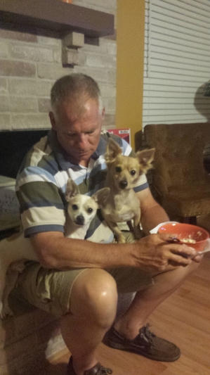 Safe Chihuahua in Cypress, TX