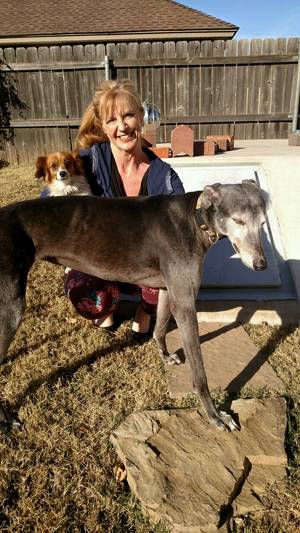 Safe Greyhound in Oklahoma City, OK