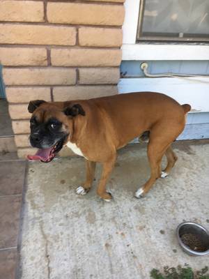 Safe Boxer in Atwater, CA