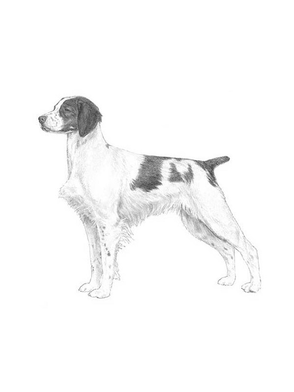 Lost Brittany in Cumberland, RI