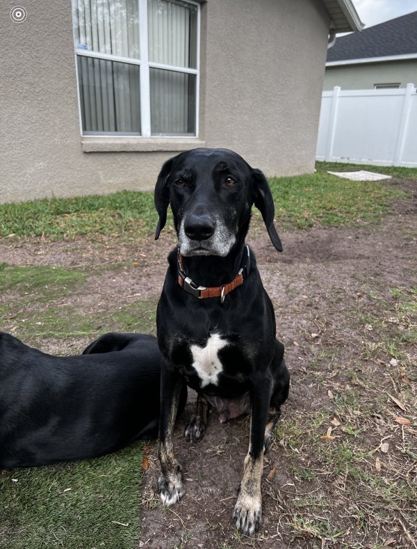 Safe Plott in Orlando, FL