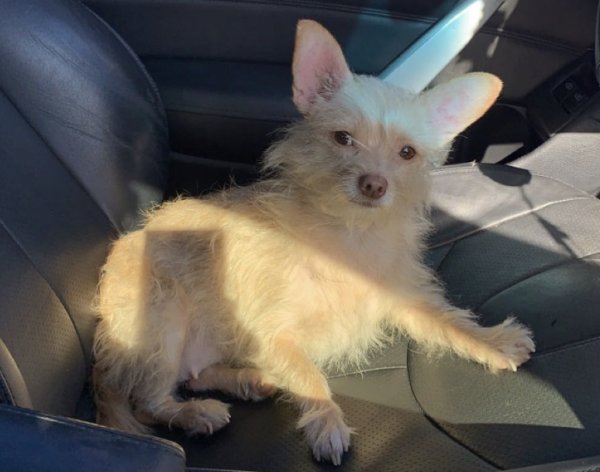 Lost Other in Alabama
