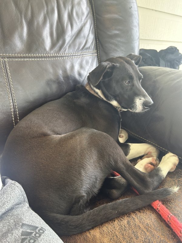 Safe Plott in Houston, TX