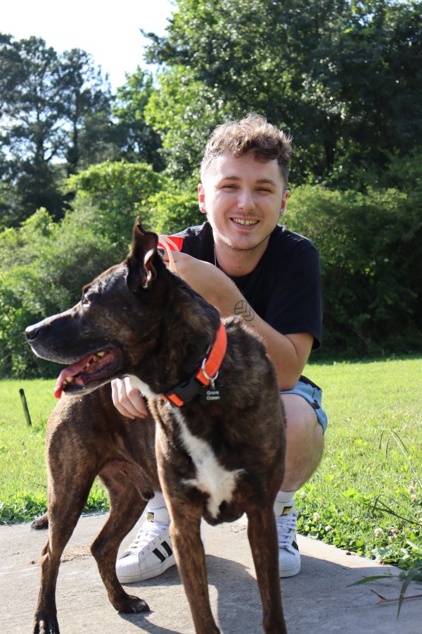 Lost Catahoula Leopard in Georgia