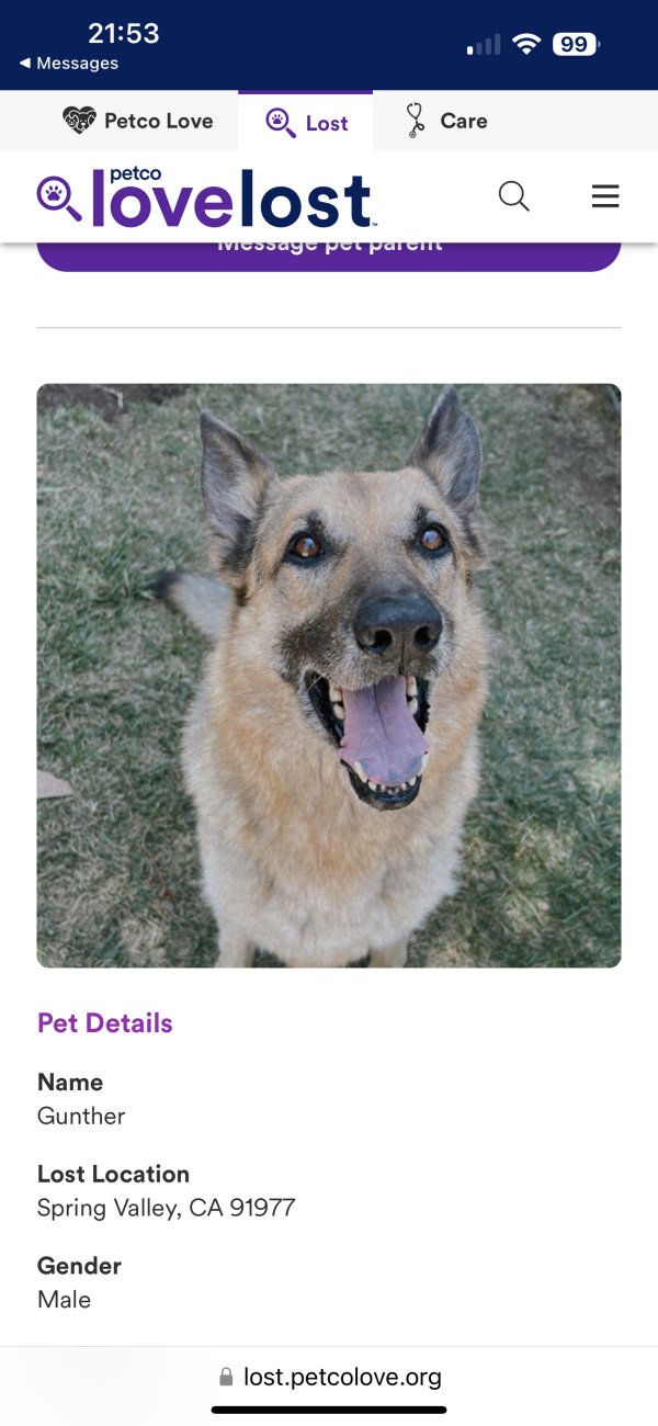 Safe German Shepherd Dog in San Diego, CA