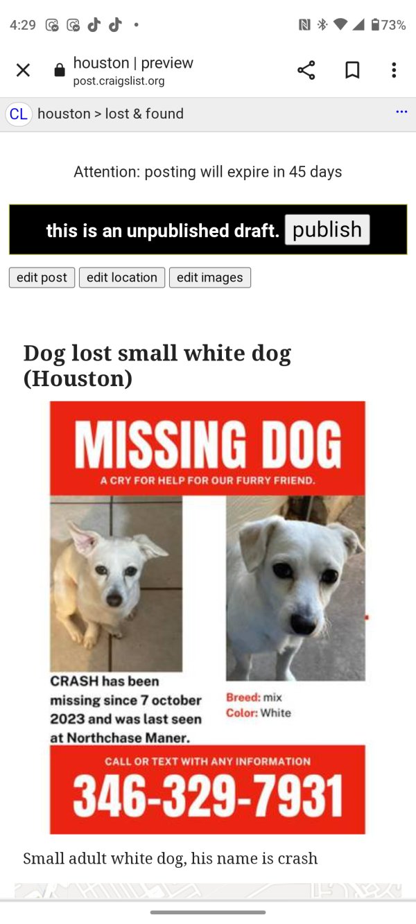Lost Dog in Houston, TX