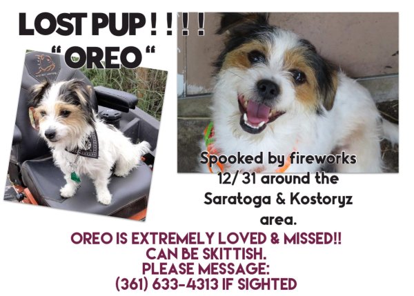 Safe Mutt in Corpus Christi, TX