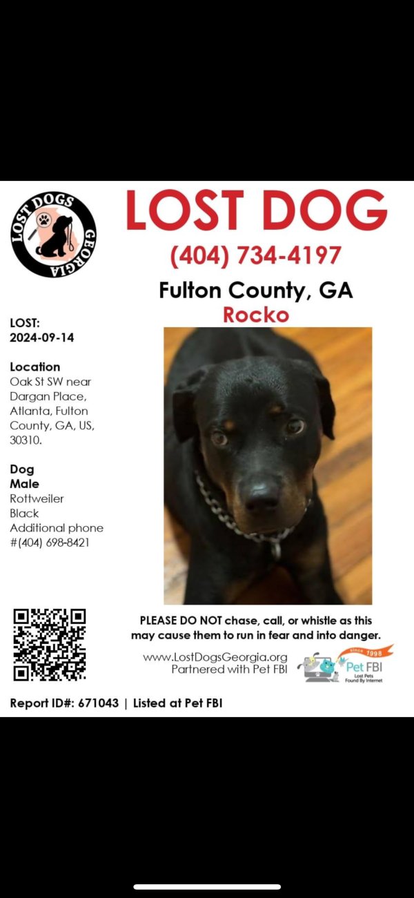 Lost Rottweiler in Georgia