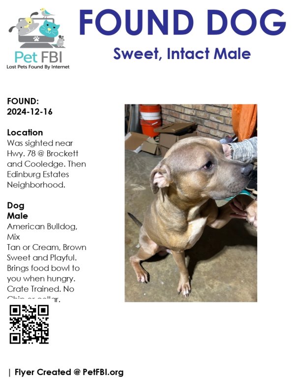 Found Mutt in Tucker, GA