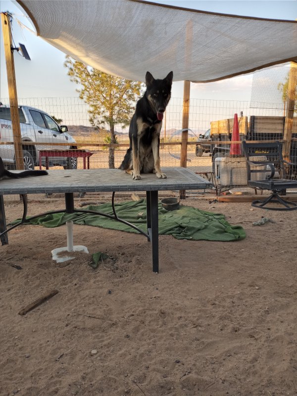 Lost Other in California