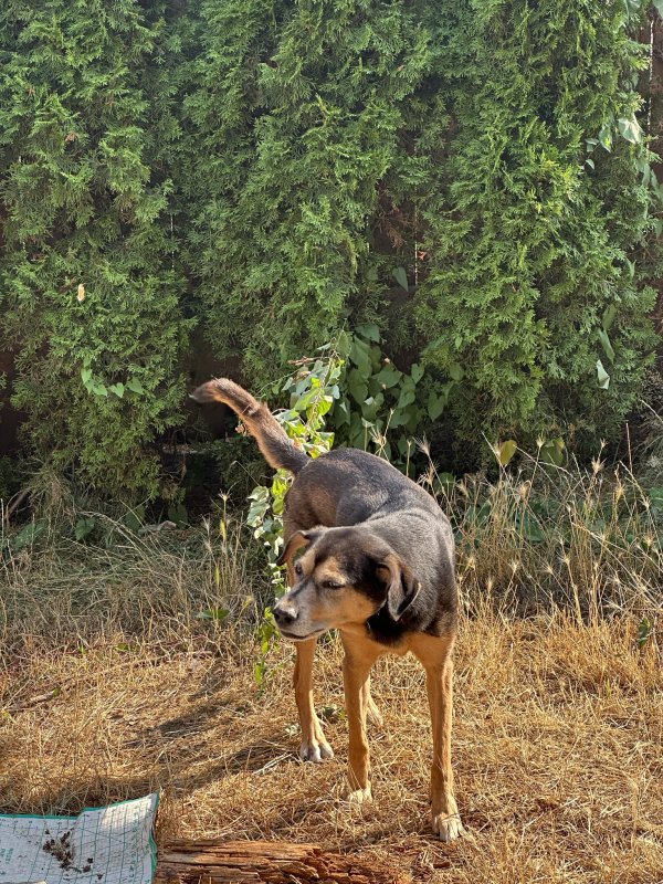 Lost Other in Everett, Washington