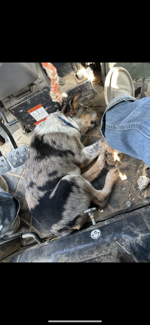 Lost Other in Oklahoma