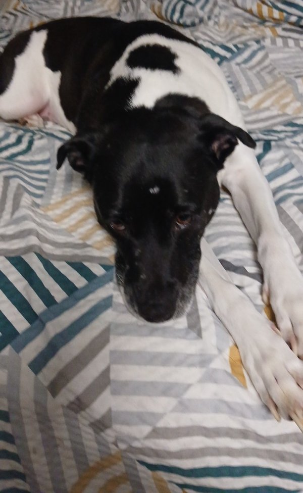 Lost Other in Texas
