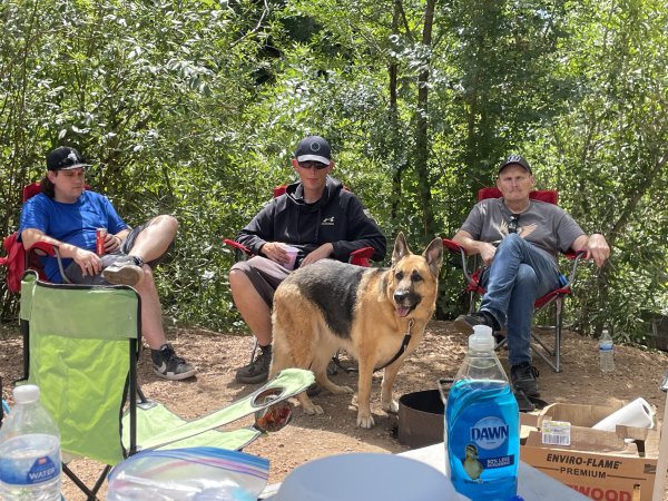 Lost German Shepherd Dog in Denver, Colorado