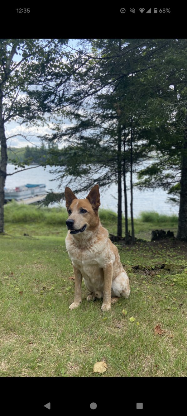 Lost Other in Tennessee