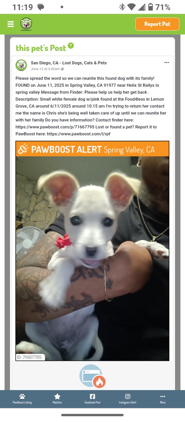 Found Other in Lemon Grove, California