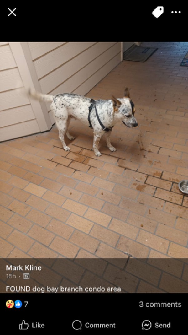 Found Other in Texas