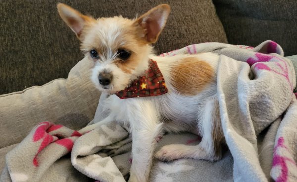 Lost Other in Corona, California