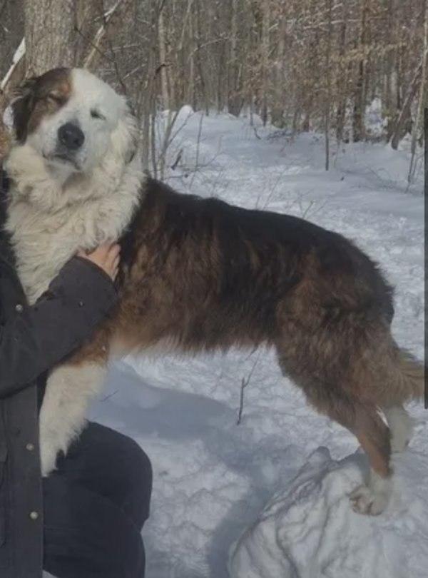 Lost Other in Indiana