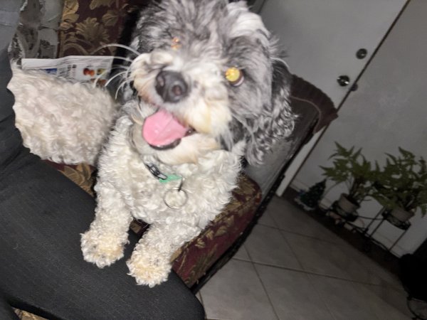 Lost Other in Colorado