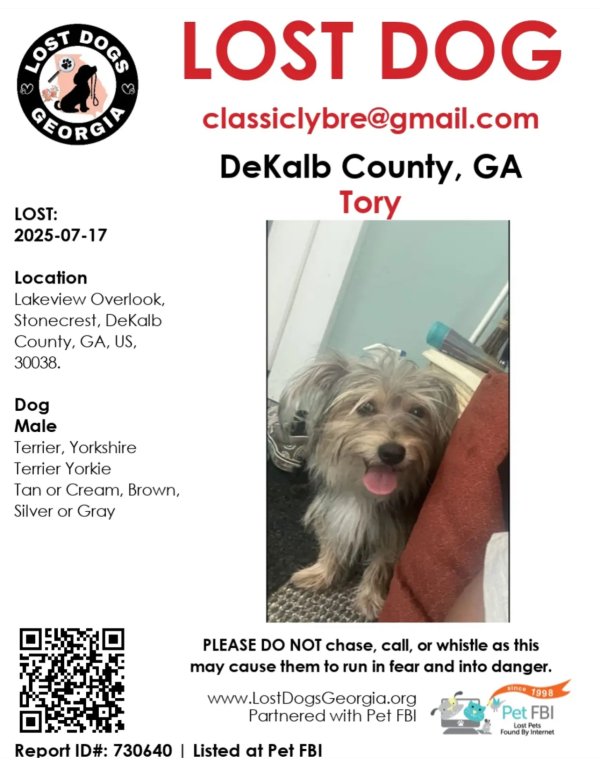 Lost Yorkshire Terrier in Georgia
