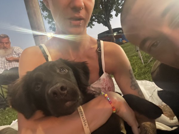 Lost Newfoundland in Tennessee